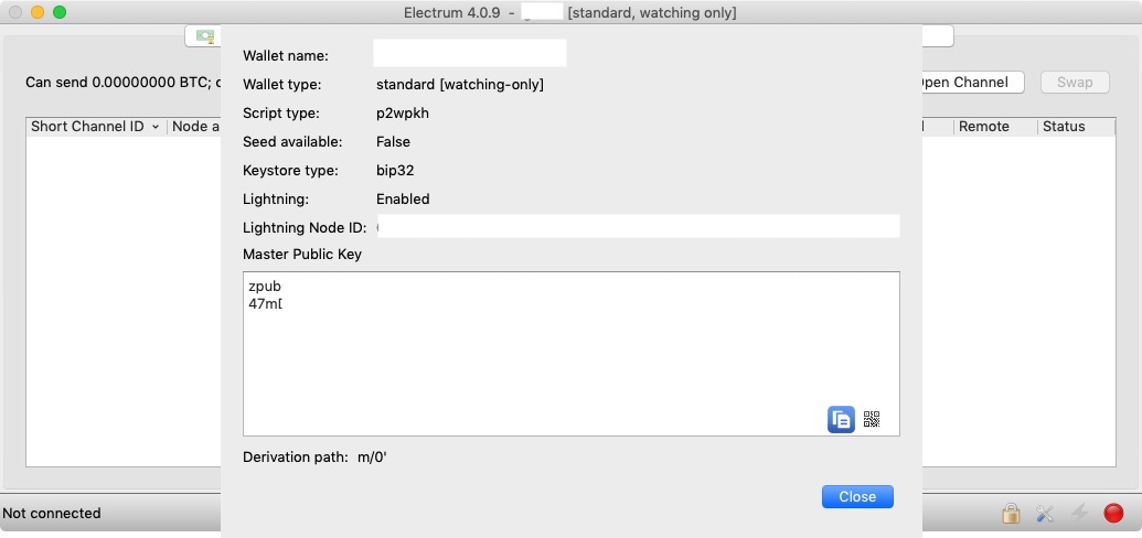 Electrum MasterPublic key